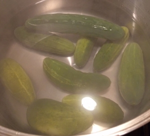 Bubbe's Secret Pickle Recipe