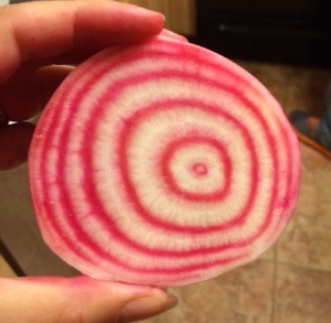 the inside of a Chiogga beet. 